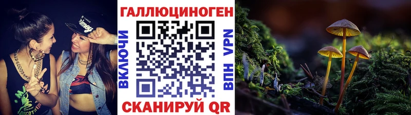 Галлюциногенные грибы мицелий  купить наркоту  Подпорожье 
